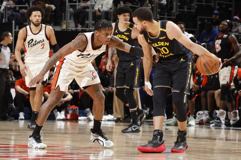 专家的广泛 专家的广泛